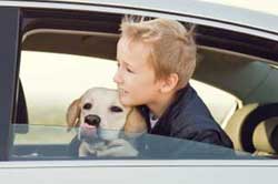 Enfant et chien laissés dans un véhicule